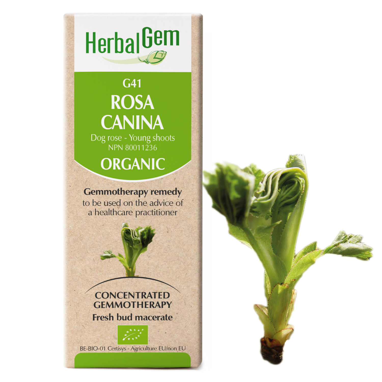 G41 Rosa canina, Gemmotherapy, Organic,  Herbalgem 30 ml