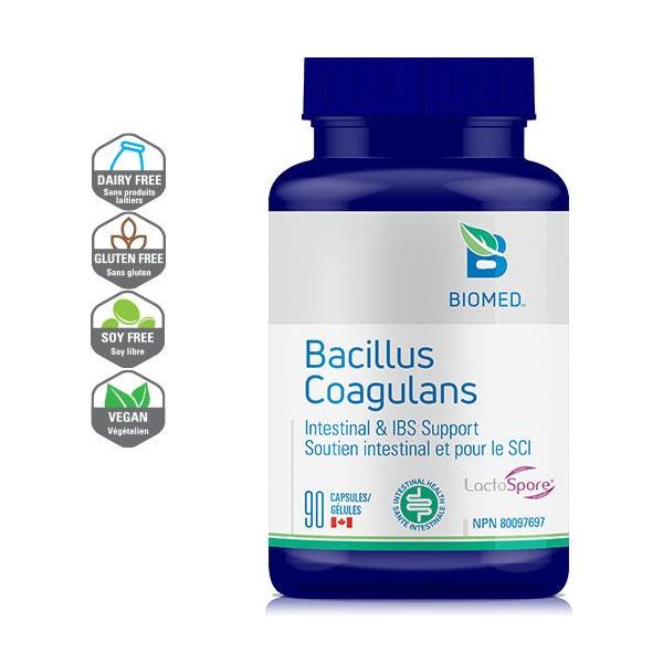 Bacillus Coagulans - 90 capsules, Biomed
