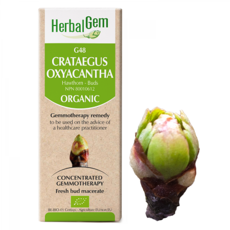 G48 Crataegus oxyacantha, Hawthorn Buds Gemmotherapy remedy Organic