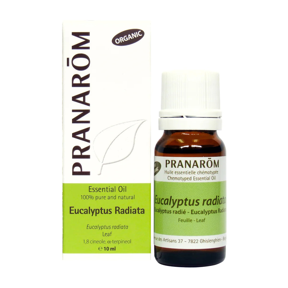 Eucalyptus Radiata, essential oil, Organic