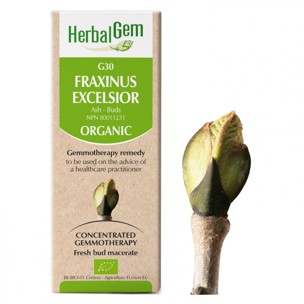 G30 Fraximus Excelsior, For acute and chronic gout, Gemmotherapy