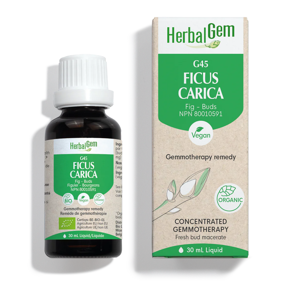 G45 Ficus carica Gemmotherapy remedy  Herbalgem  (Public)