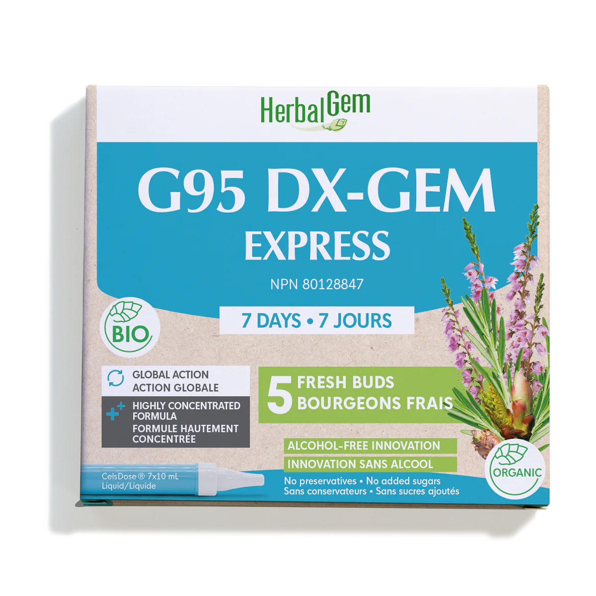 G95 DX-GEM EXPRESS 7X10 ml- NEW PRODUCT