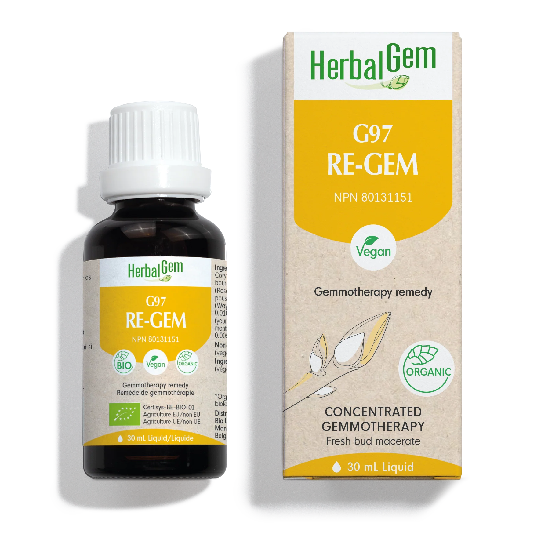 G97 RE-GEM NEW Gemmotherapy remedy, 30 ml (Public)