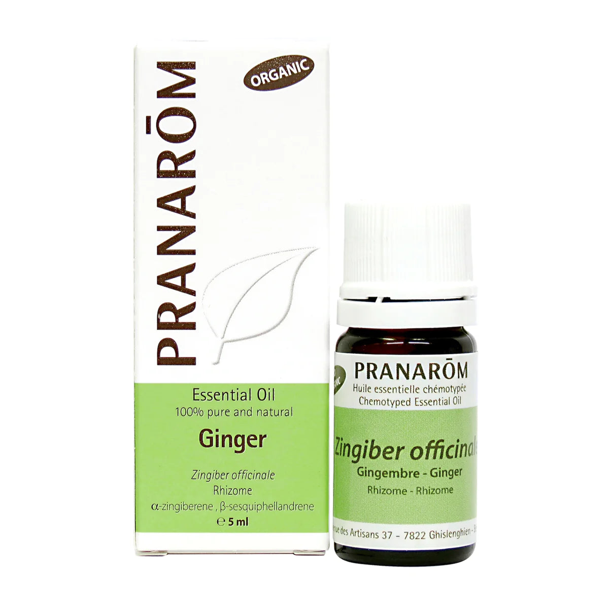 Ginger,essential oil – Organic  5 ml