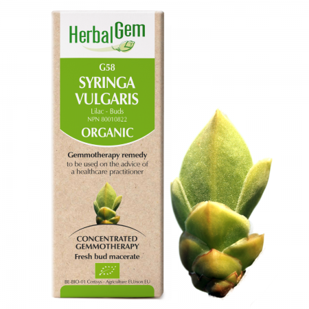 G58 Syringa vulgaris,  Gemmotherapy, Organic Lilac Buds, 50ml