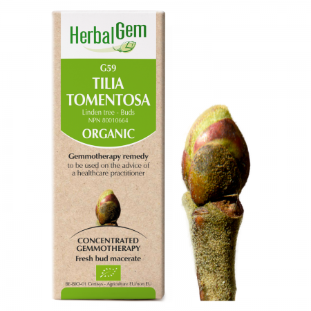 G59 Tilia tomentosa, Gemmotherapy, Organic, Herbalgem