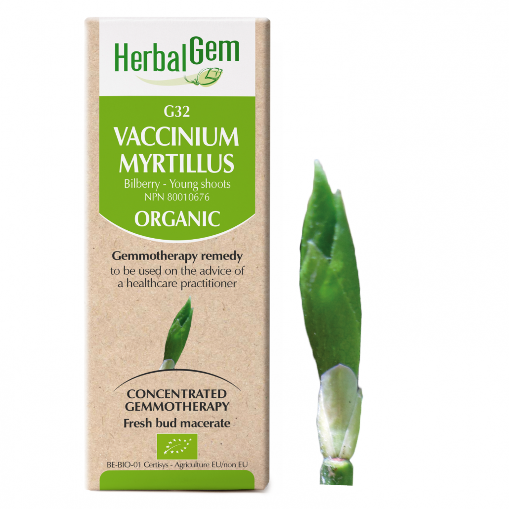 G32 Vaccinium Myrtillus,Gemmotherapy, Macular degeneration (wet and dry)
