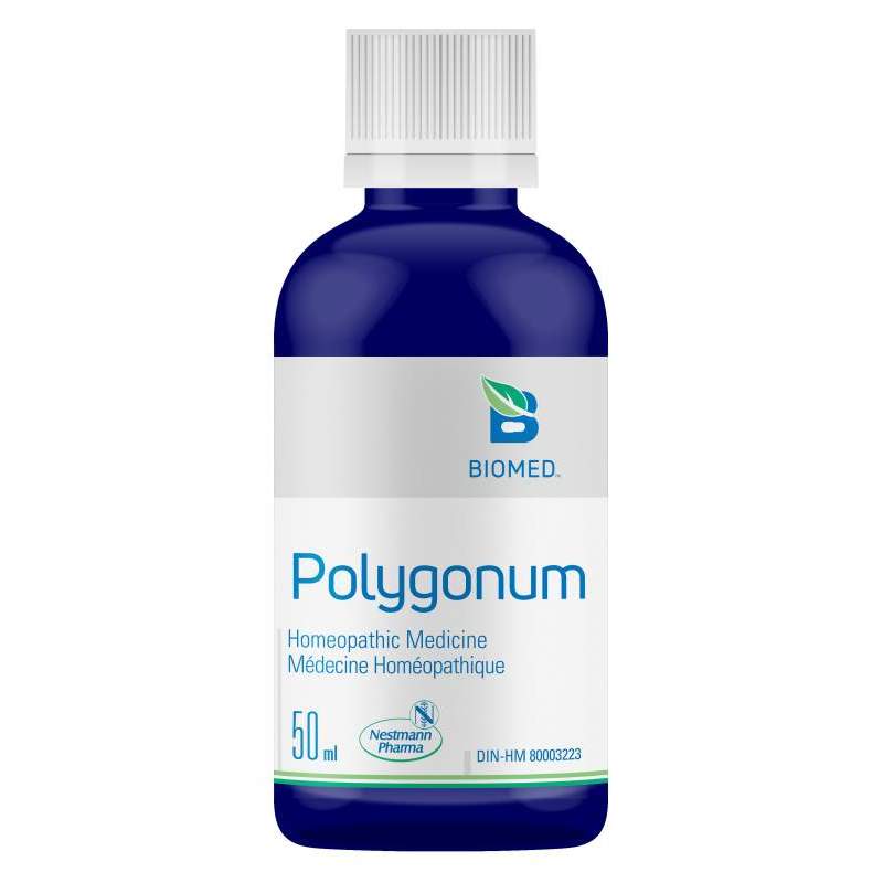 Polygonum 50 ml, Biomed