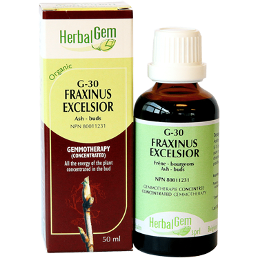 G30 Fraximus Excelsior, For acute and chronic gout, Gemmotherapy