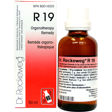 R19 Glandular dysfunctions – men Organotherapy remedy  50 ml