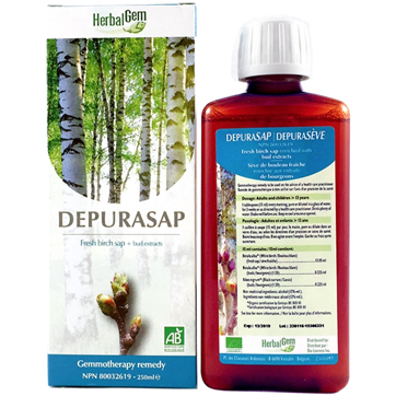 G20 DEPURASAP Gemmotherapy remedy Organic Fresh birch sap + bud extracts  250 ml