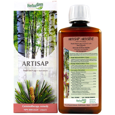G28 Artisap Gemmotherapy remedy Organic Fresh birch sap + bud extracts 250 ml