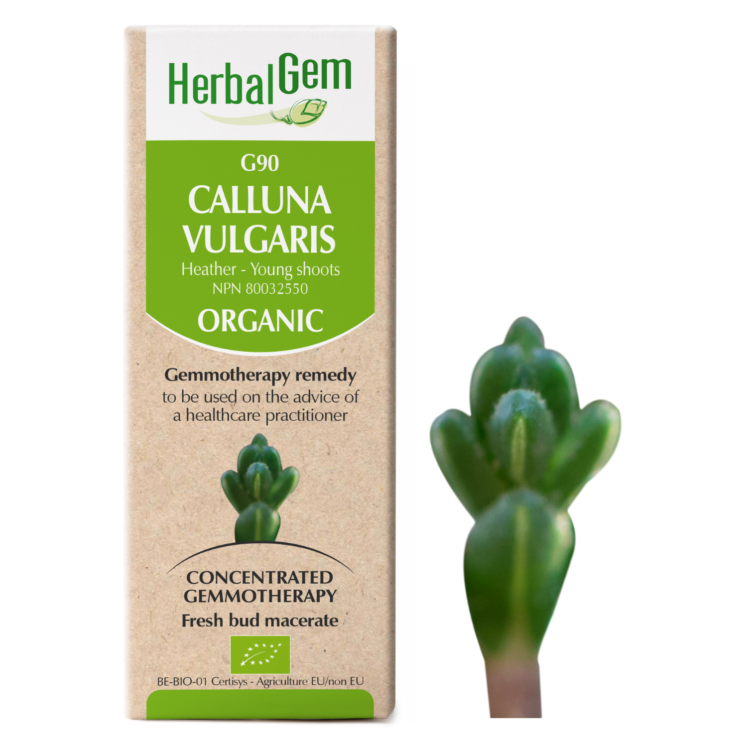 G90 Calluna vulgaris Gemmotherapy Chronic, 50ml