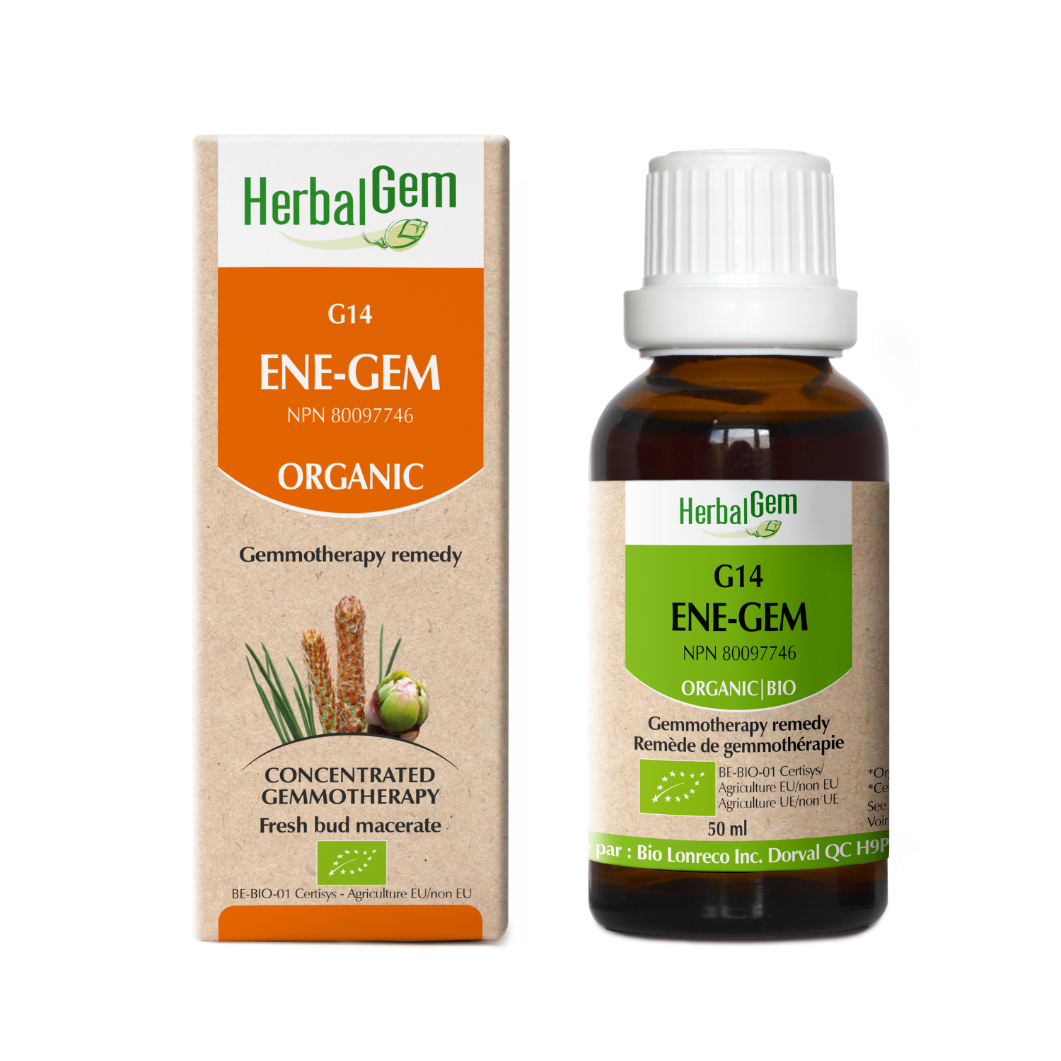 G14 ENE-GEM Gemmotherapy remedy Organic 50 ml - iwellnessbox
