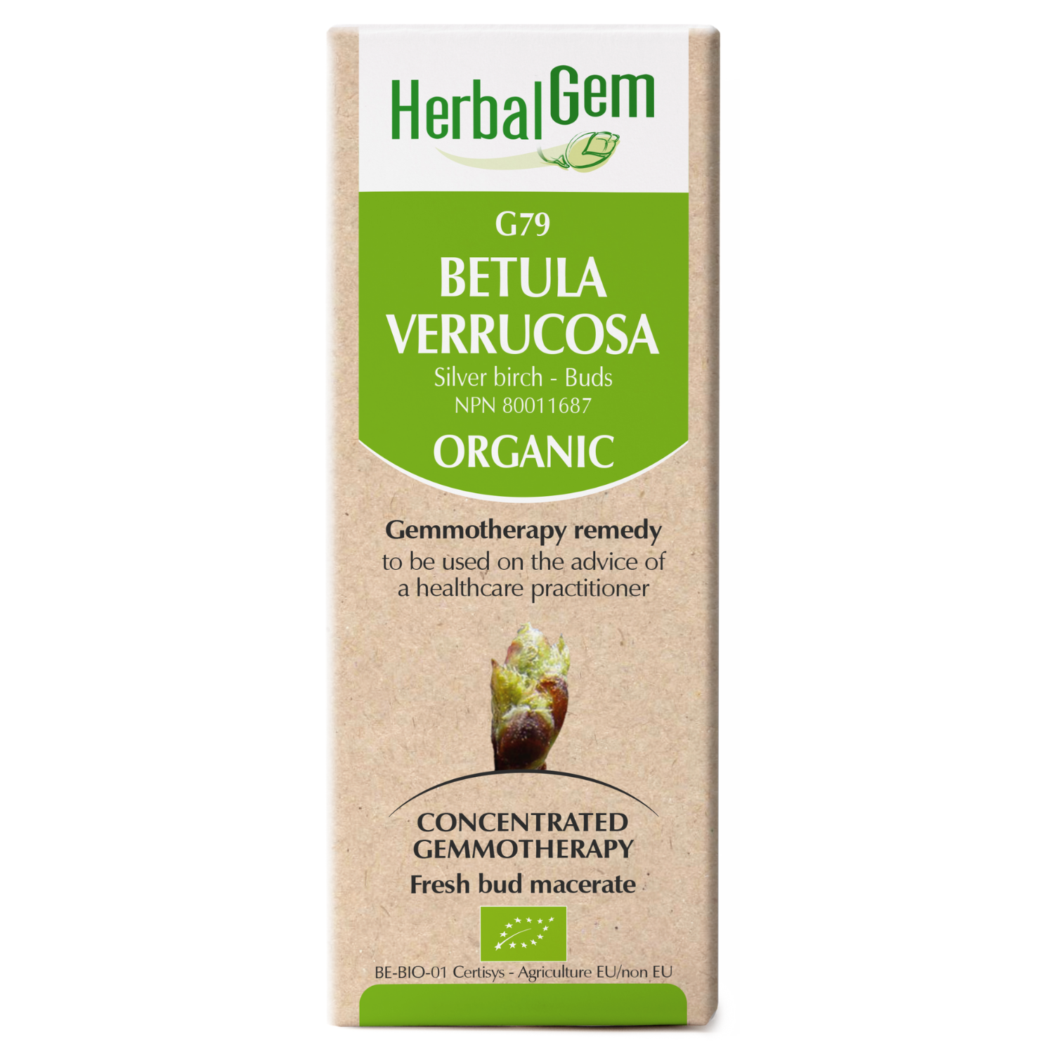 G79 Betula verrucosa Gemmotherapy remedy Organic  Silver birch Buds, 50ml