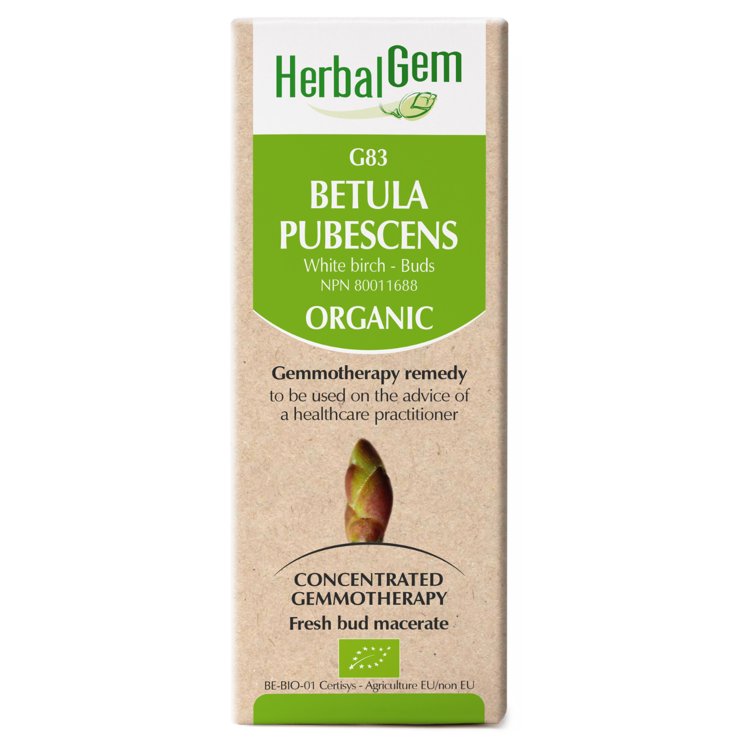 G83 Betula pubescens, Gemmotherapy remedy, Organic  White birch – Buds  50 ml