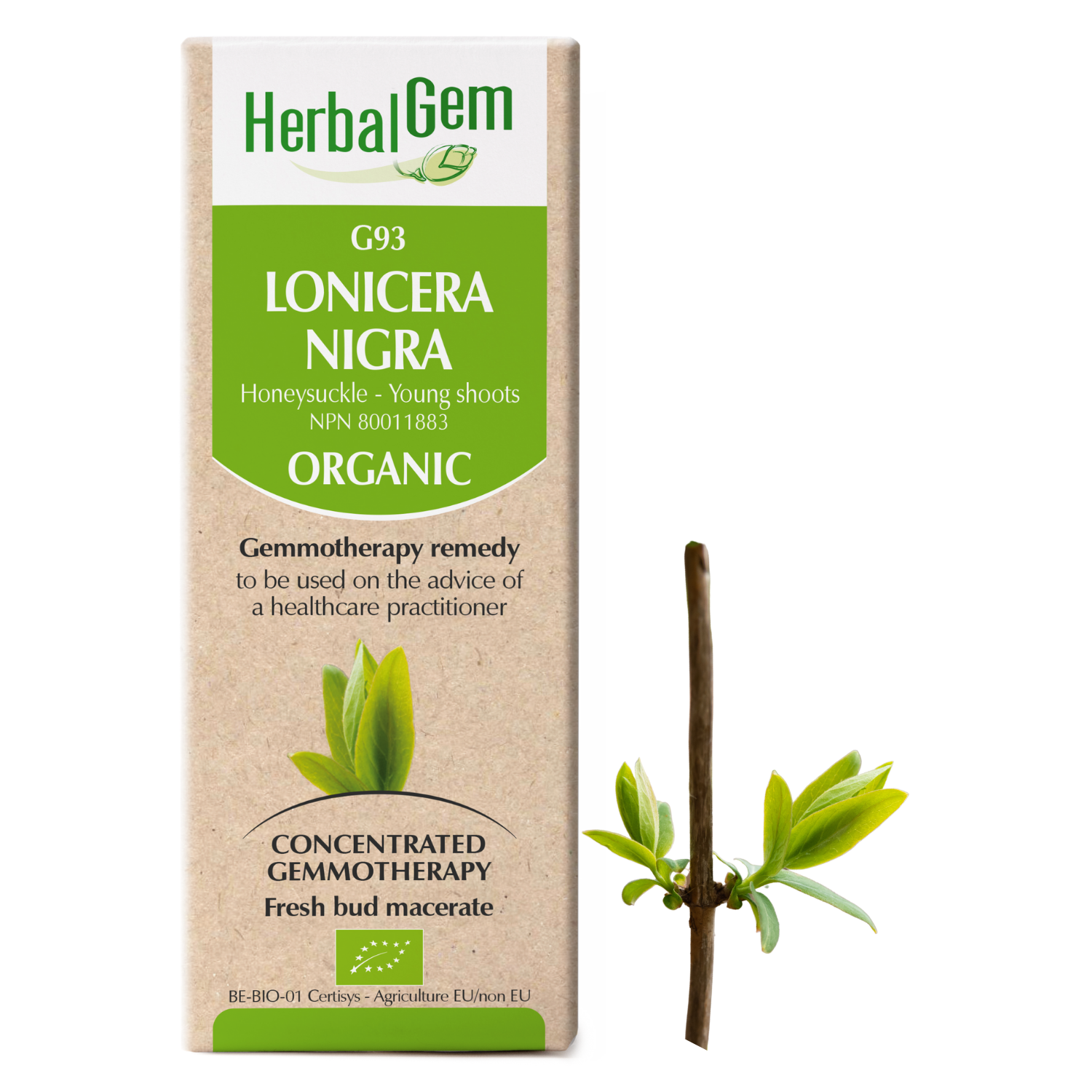 G93 Lonicera nigra Gemmotherapy remedy Organic  Honeysuckle Young shoots 50 ml