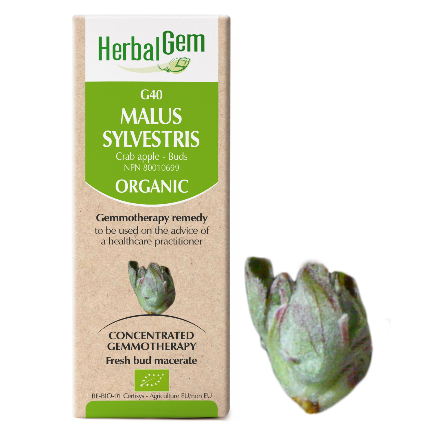 G40 Malus sylvestris Gemmotherapy remedy Organic