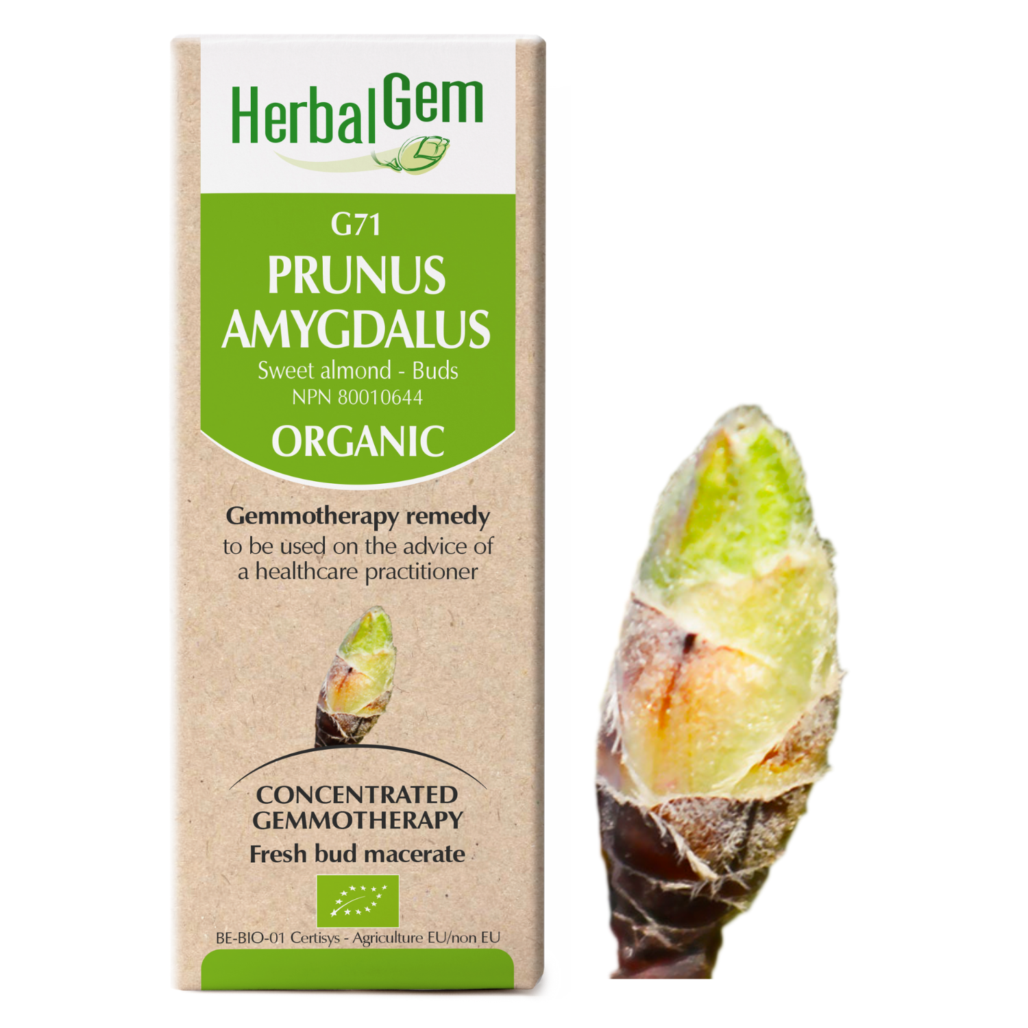 G71 Prunus amygdalus Gemmotherapy, Organic,  Sweet almond  Buds, 50ml