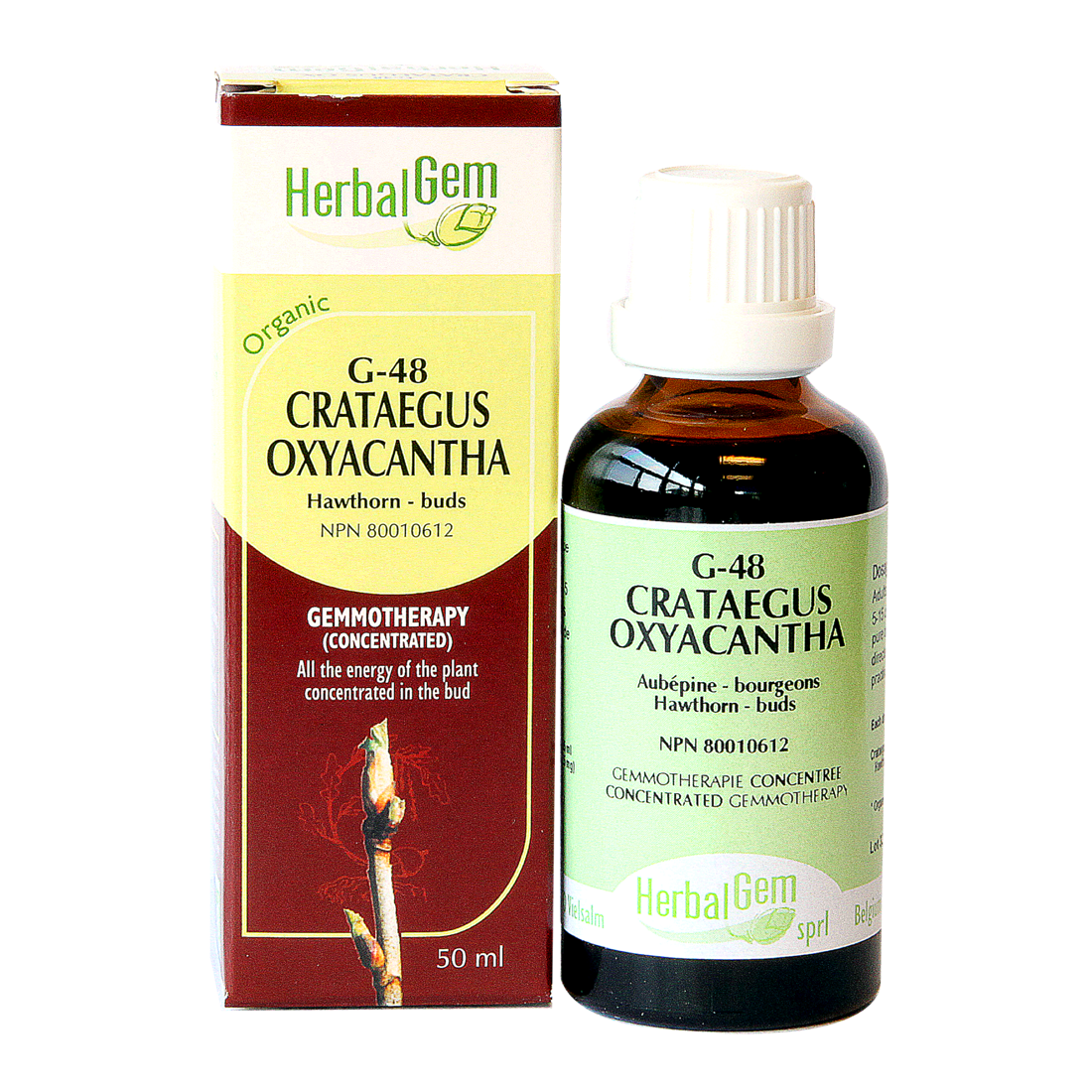 G48 Crataegus oxyacantha  Hawthorn Buds Gemmotherapy remedy Organic