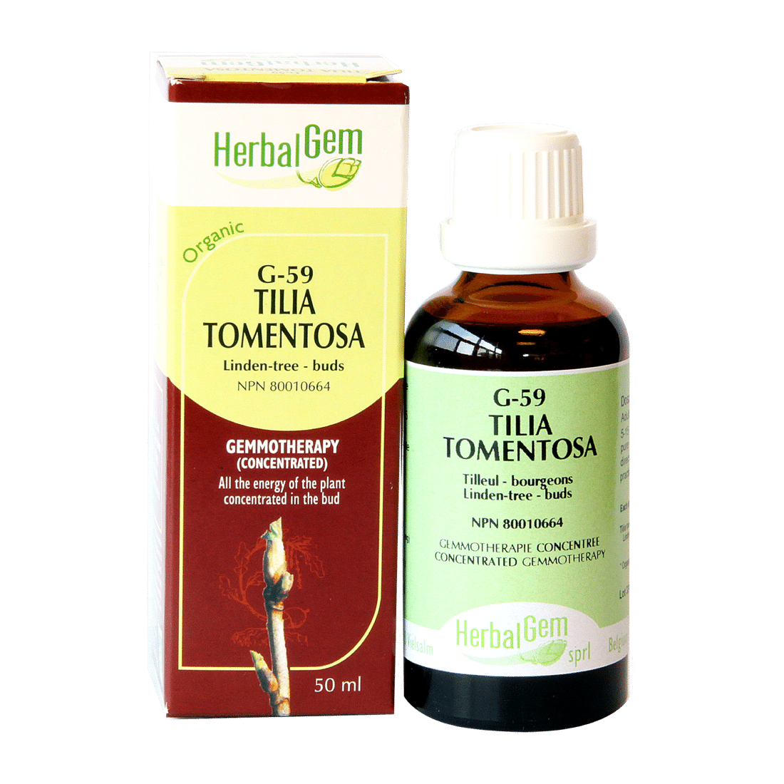 G59 Tilia tomentosa Gemmotherapy remedy – Organic  Linden-tree – Buds - iwellnessbox