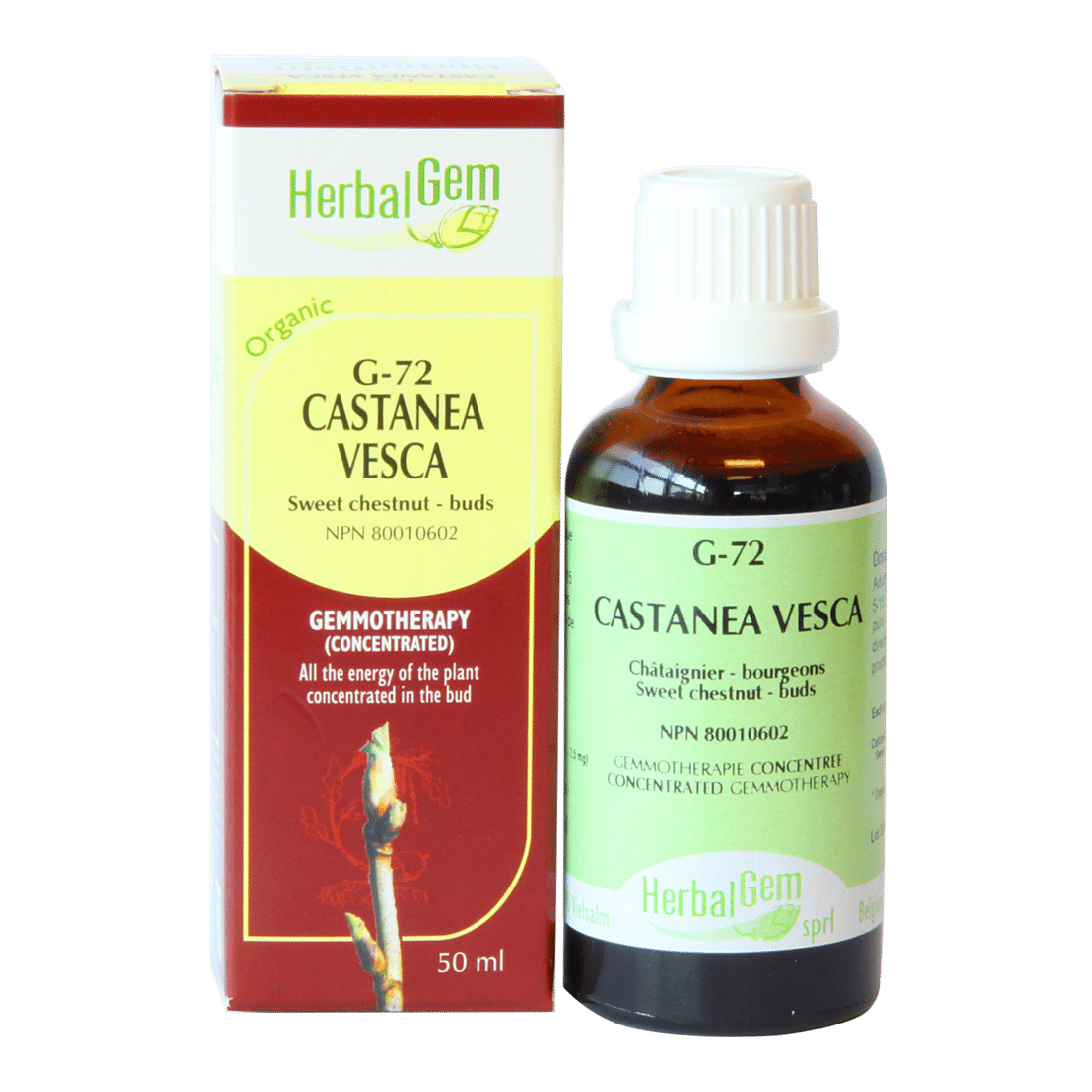 G72 Castanea vesca Gemmotherapy remedy Organic Sweet chestnut Buds 50% off (December 31, 2020) - iwellnessbox